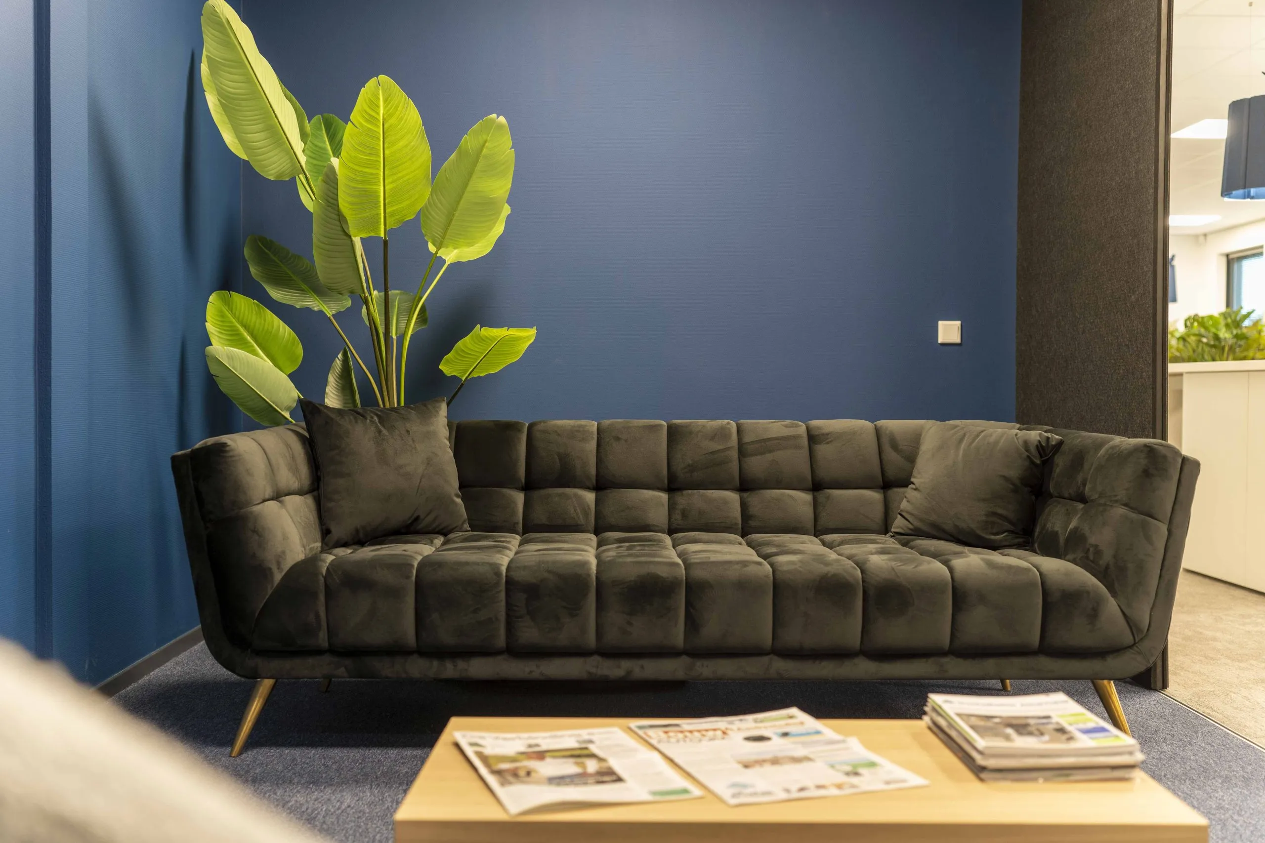 Loungezone met sofa, plant en wachtruimte